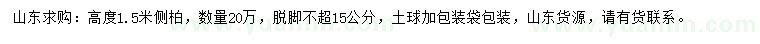 求購高1.5米側柏