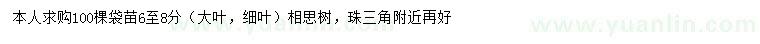 求購6-8公分相思樹