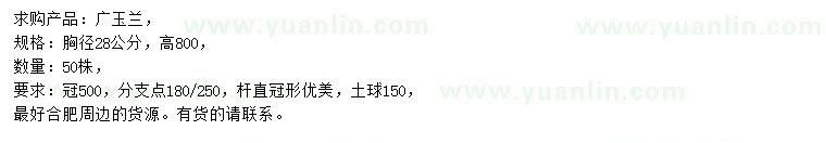 求購(gòu)胸徑28公分廣玉蘭