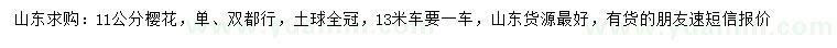 求購11公分櫻花