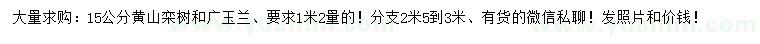 求購15公分黃山欒樹、廣玉蘭