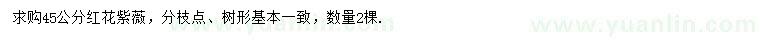 求購45公分紅花紫薇