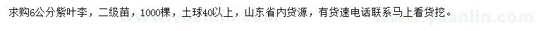 求購(gòu)6公分紫葉李