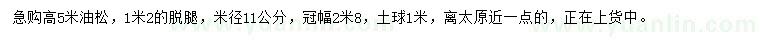 求購高5米油松