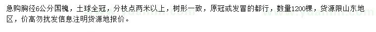 求購胸徑6公分國槐