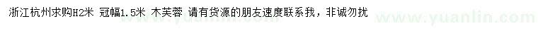 求購(gòu)高2米木芙蓉