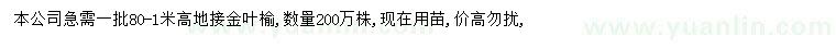 求購高80-100公分地接金葉榆