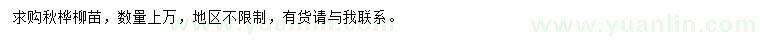 求購秋樺柳苗