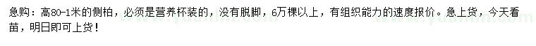 求購高80-1米側(cè)柏