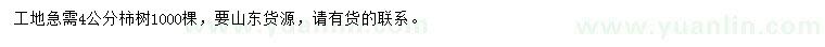 求購4公分柿樹