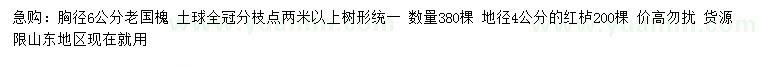 求購(gòu)胸徑6公分老國(guó)槐、地徑4公分紅櫨