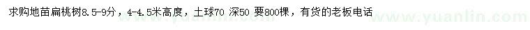 求購8.5-9公分扁桃樹