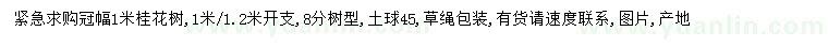 求購冠幅1米桂花