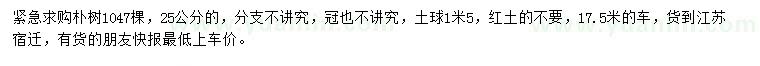 求購25公分樸樹
