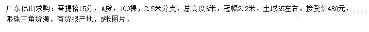 求購(gòu)15公分菩提榕