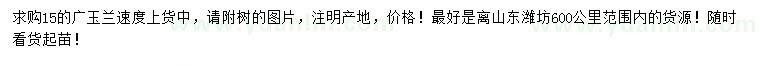 求購(gòu)15公分廣玉蘭