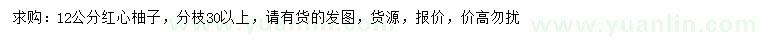 求購12公分紅心柚子