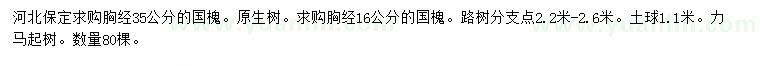 求購胸徑16、35公分國(guó)槐