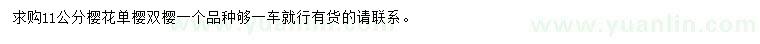求購(gòu)11公分櫻花
