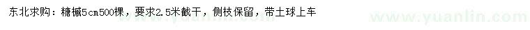 求購5公分糖槭