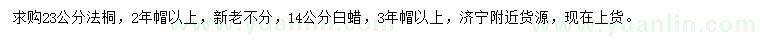求購23公分法桐、14公分白蠟