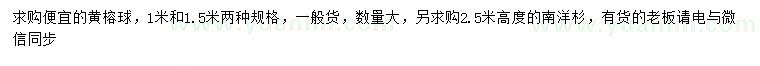 求購1、1.5米黃金榕球