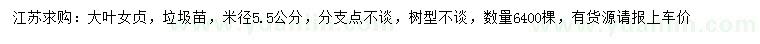 求購米徑5.5公分大葉女貞