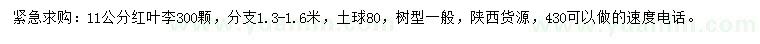 求購(gòu)11公分紅葉李