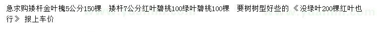 求購(gòu)矮桿金葉槐、紅葉碧桃、綠葉碧桃等