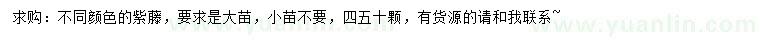 求購紫藤