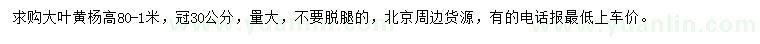求購(gòu)高80-100公分大葉黃楊