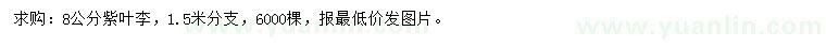 求購8公分紫葉李
