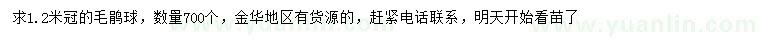 求購冠幅1.2米毛鵑球