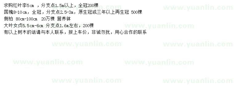 求購紅葉李、國槐、側(cè)柏等