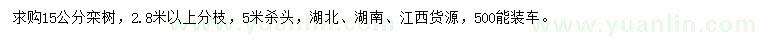 求購15公分欒樹