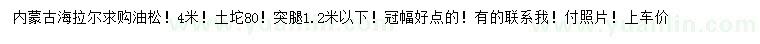 求購4米海拉爾松