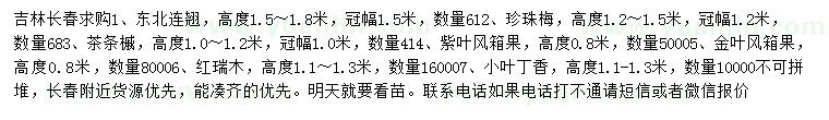 求購(gòu)東北連翹、珍珠梅、茶條槭等