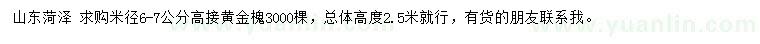 求購(gòu)米徑6-7公分黃金槐