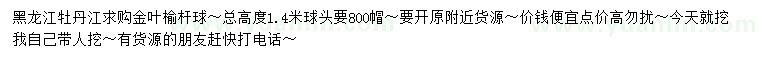 求購高1.4米金葉榆球