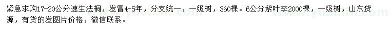 求購(gòu)17-20公分速生法桐、6公分紫葉李