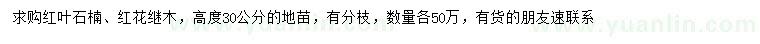 求購高30公分紅葉石楠、紅花繼木