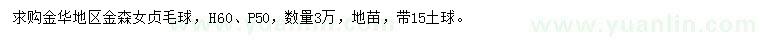 求購高60公分金森女貞毛球