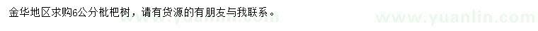 求購6公分枇杷樹