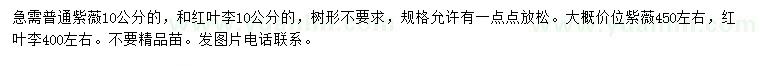 求購(gòu)10公分紫薇、紅葉李