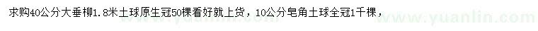 求購(gòu)40公分垂柳、10公分皂角