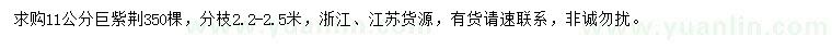 求購11公分巨紫荊