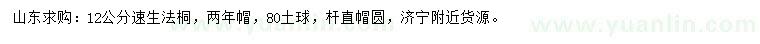 求購(gòu)12公分速生法桐