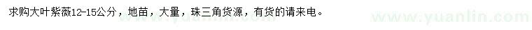 求購12-15公分大葉紫薇