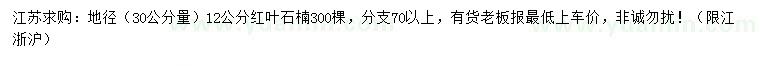 求購30量12公分紅葉石楠