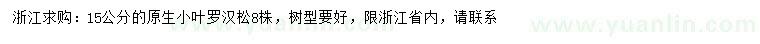 求購15公分小葉羅漢松